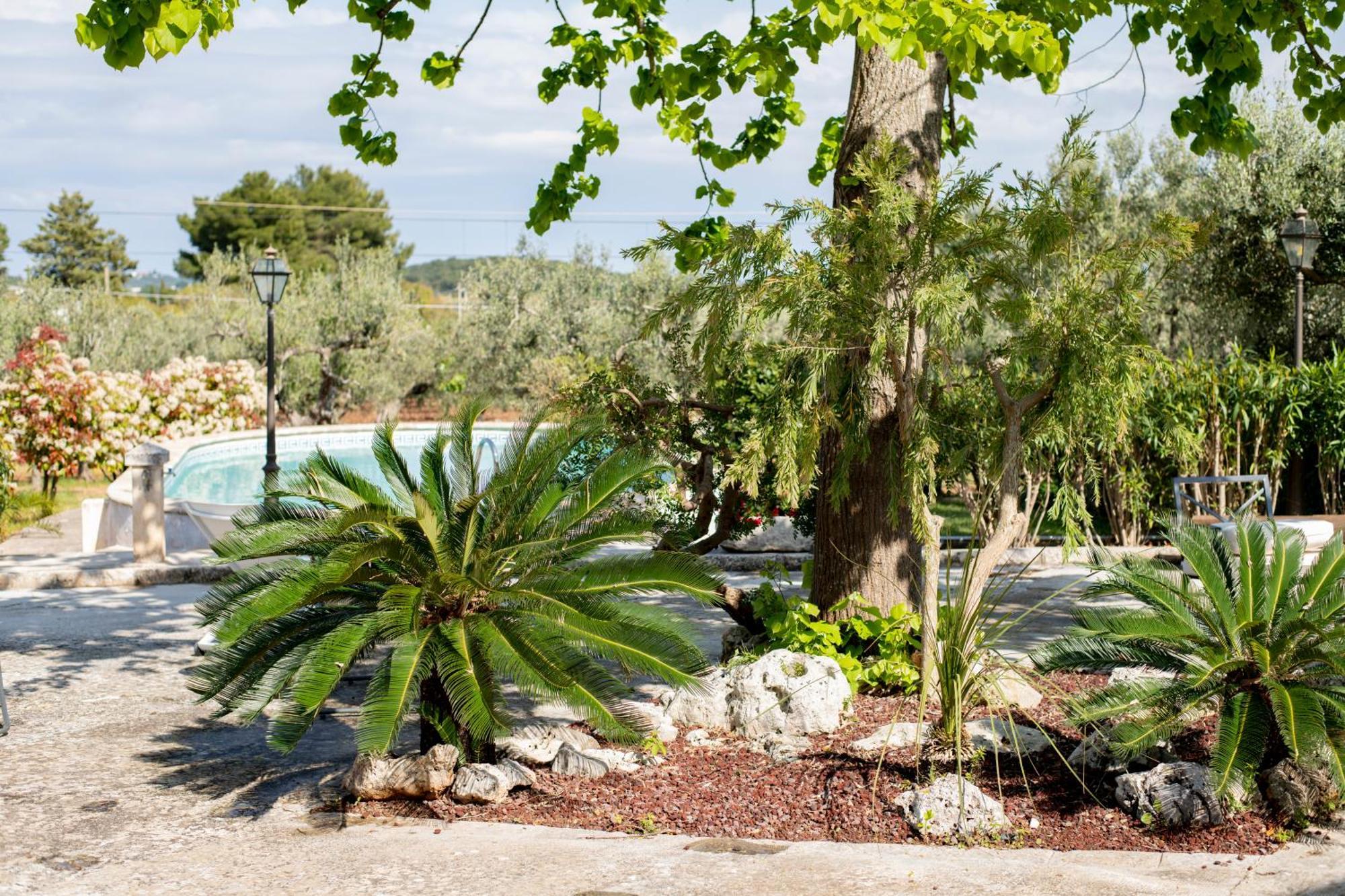 Masseria Trulli Bruni Локоротондо Екстериор снимка